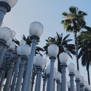 Meet your Posher, Trisha